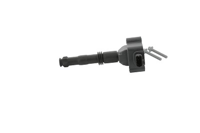 Picture of Ignition Coil - BorgWarner (BERU) - ZS177